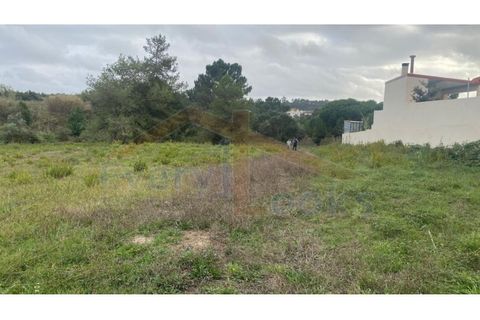 Helårsgrund i Santo Onofre e Serra do Bouro, Leiria, Santo Onofre e Serra do Bouro - € 180.000 | Ref: EL2025554 - foto 19