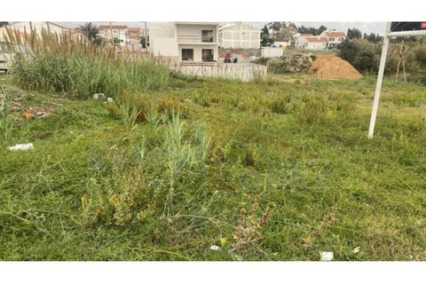 Helårsgrund i Santo Onofre e Serra do Bouro, Leiria, Santo Onofre e Serra do Bouro - € 180.000 | Ref: EL2025554 - foto 20