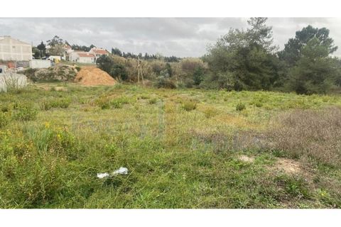 Helårsgrund i Santo Onofre e Serra do Bouro, Leiria, Santo Onofre e Serra do Bouro - € 180.000 | Ref: EL2025554 - foto 21