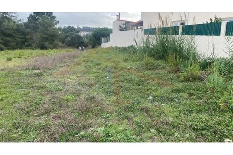 Helårsgrund i Santo Onofre e Serra do Bouro, Leiria, Santo Onofre e Serra do Bouro - € 180.000 | Ref: EL2025554 - foto 22