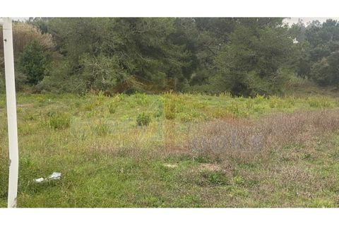 Helårsgrund i Santo Onofre e Serra do Bouro, Leiria, Santo Onofre e Serra do Bouro - € 180.000 | Ref: EL2025554 - foto 23