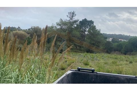 Helårsgrund i Santo Onofre e Serra do Bouro, Leiria, Santo Onofre e Serra do Bouro - € 180.000 | Ref: EL2025554 - foto 24