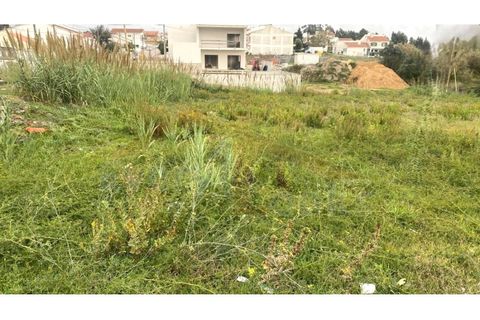 Helårsgrund i Santo Onofre e Serra do Bouro, Leiria, Santo Onofre e Serra do Bouro - € 180.000 | Ref: EL2025554 - foto 25