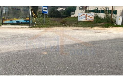 Helårsgrund i Santo Onofre e Serra do Bouro, Leiria, Santo Onofre e Serra do Bouro - € 180.000 | Ref: EL2025554 - foto 29