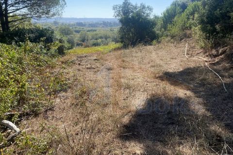 Helårsgrund i Obidos, Leiria, Obidos - € 48.500 | Ref: EL2025543 - foto 2