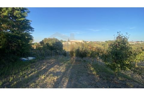 Helårsgrund i Obidos, Leiria, Obidos - € 48.500 | Ref: EL2025543 - foto 3