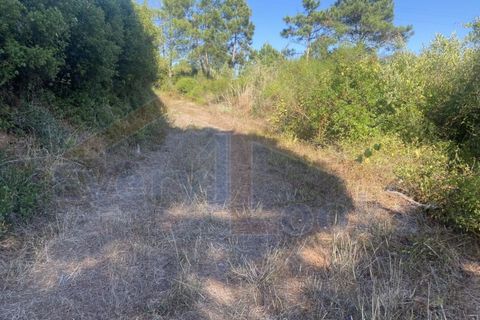 Helårsgrund i Obidos, Leiria, Obidos - € 48.500 | Ref: EL2025543 - foto 4
