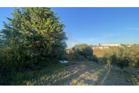 Helårsgrund i Obidos, Leiria, Obidos - € 48.500 | Ref: EL2025543 - foto 5