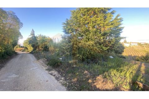 Helårsgrund i Obidos, Leiria, Obidos - € 48.500 | Ref: EL2025543 - foto 6