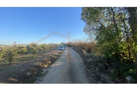 Helårsgrund i Obidos, Leiria, Obidos - € 48.500 | Ref: EL2025543 - foto 7