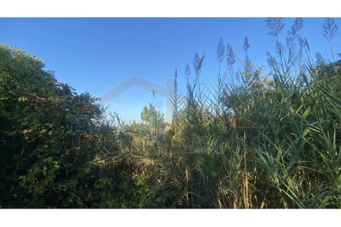 Helårsgrund i Obidos, Leiria, Obidos - € 48.500 | Ref: EL2025543 - foto 9