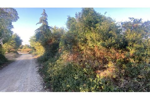 Helårsgrund i Obidos, Leiria, Obidos - € 48.500 | Ref: EL2025543 - foto 10