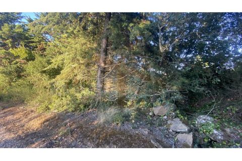 Helårsgrund i Obidos, Leiria, Obidos - € 48.500 | Ref: EL2025543 - foto 11