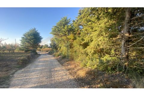 Helårsgrund i Obidos, Leiria, Obidos - € 48.500 | Ref: EL2025543 - foto 13