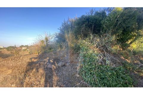 Helårsgrund i Obidos, Leiria, Obidos - € 48.500 | Ref: EL2025543 - foto 14