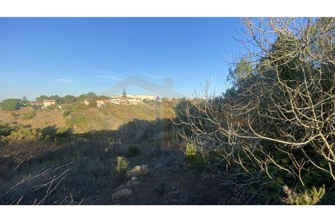 Helårsgrund i Obidos, Leiria, Obidos - € 48.500 | Ref: EL2025543 - foto 17