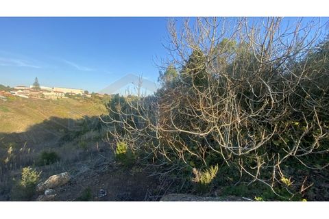 Helårsgrund i Obidos, Leiria, Obidos - € 48.500 | Ref: EL2025543 - foto 18