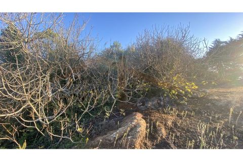 Helårsgrund i Obidos, Leiria, Obidos - € 48.500 | Ref: EL2025543 - foto 19