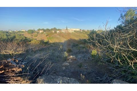 Helårsgrund i Obidos, Leiria, Obidos - € 48.500 | Ref: EL2025543 - foto 21