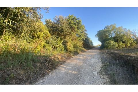 Helårsgrund i Obidos, Leiria, Obidos - € 48.500 | Ref: EL2025543 - foto 22