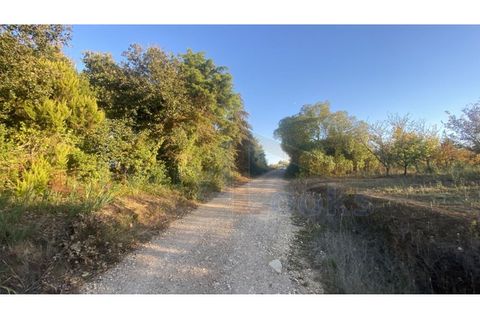 Helårsgrund i Obidos, Leiria, Obidos - € 48.500 | Ref: EL2025543 - foto 23
