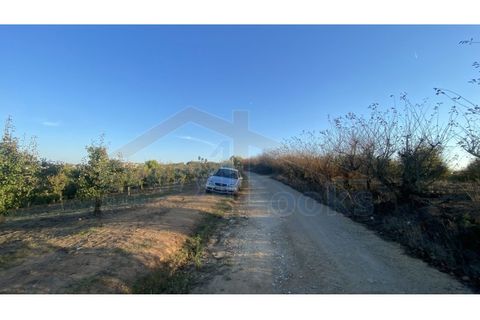 Helårsgrund i Obidos, Leiria, Obidos - € 48.500 | Ref: EL2025543 - foto 24