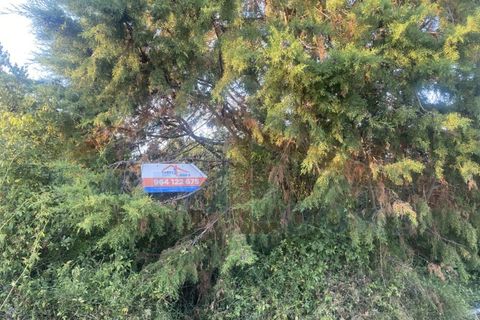 Helårsgrund i Obidos, Leiria, Obidos - € 48.500 | Ref: EL2025543 - foto 25