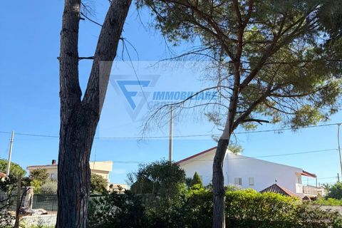 Villa i Siracusa, Siracusa, Siracusa - € 190.000 | Ref: RIF. SR VMAR 216 - foto 7