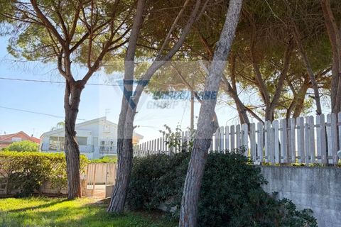Villa i Siracusa, Siracusa, Siracusa - € 190.000 | Ref: RIF. SR VMAR 216 - foto 8