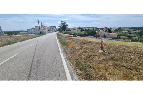 Helårsgrund i A dos Cunhados e Maceira, Lisbon, A dos Cunhados e Maceira - € 428.000 | Ref: MTL3256 - foto 4