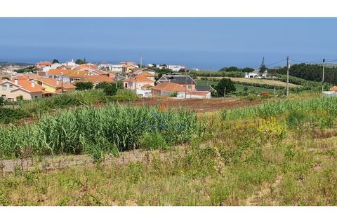 Helårsgrund i A dos Cunhados e Maceira, Lisbon, A dos Cunhados e Maceira - € 428.000 | Ref: MTL3256 - foto 13