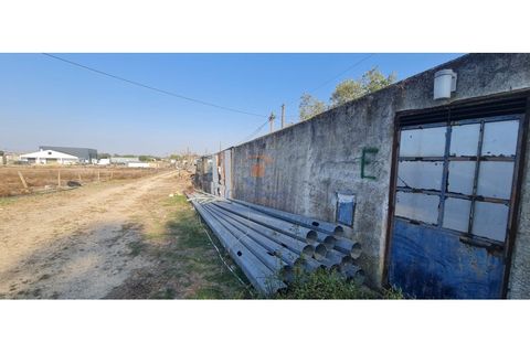 Villa i Palmela, Setubal, Palmela - € 375.000 | Ref: MTM6872 - foto 30
