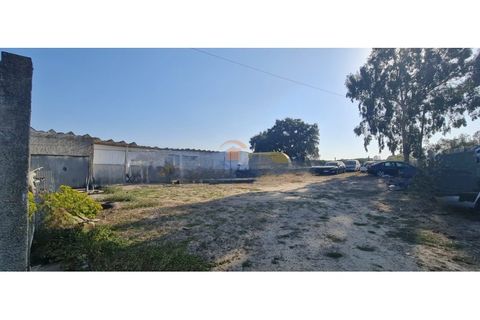 Villa i Palmela, Setubal, Palmela - € 375.000 | Ref: MTM6872 - foto 31