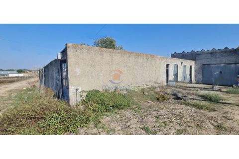 Villa i Palmela, Setubal, Palmela - € 375.000 | Ref: MTM6872 - foto 34