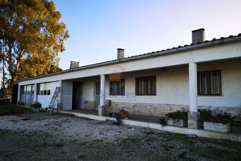 Villa i Palmela, Setubal, Palmela - € 375.000 | Ref: MTM6872 - foto 5