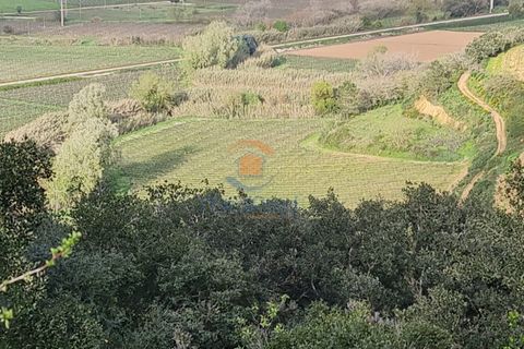 Helårsgrund i Matacaes, Lisbon, Matacaes - € 72.000 | Ref: MTL3245 - foto 3