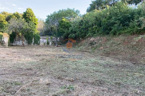 Villa i Torres Vedras, Lisbon, Torres Vedras - € 125.000 | Ref: MTL3237M - foto 6