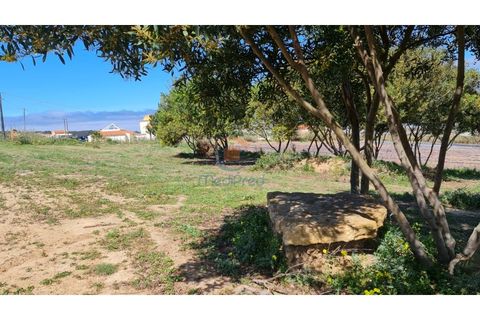 Helårsgrund i A dos Cunhados e Maceira, Lisbon, A dos Cunhados e Maceira - € 140.000 | Ref: MTL3208 - foto 4