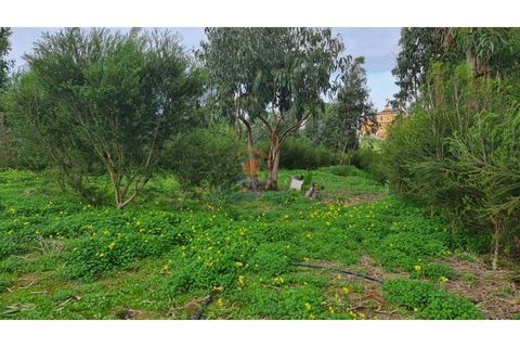 Helårsgrund i A dos Cunhados e Maceira, Lisbon, A dos Cunhados e Maceira - € 65.000 | Ref: MTL3182 - foto 3