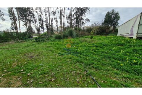Helårsgrund i A dos Cunhados e Maceira, Lisbon, A dos Cunhados e Maceira - € 65.000 | Ref: MTL3182 - foto 4
