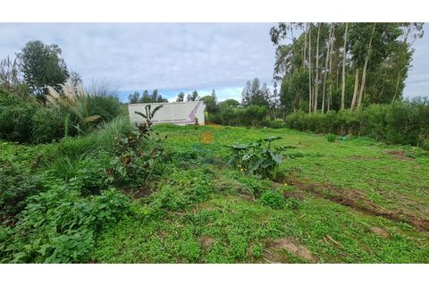 Helårsgrund i A dos Cunhados e Maceira, Lisbon, A dos Cunhados e Maceira - € 65.000 | Ref: MTL3182 - foto 6