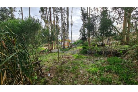 Helårsgrund i A dos Cunhados e Maceira, Lisbon, A dos Cunhados e Maceira - € 65.000 | Ref: MTL3182 - foto 7
