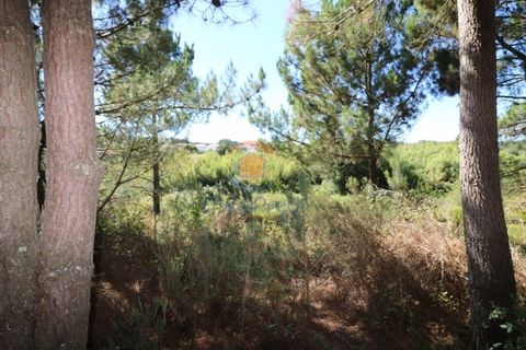 Helårsgrund i Matacaes, Lisbon, Matacaes - € 28.000 | Ref: MTL3112 - foto 2