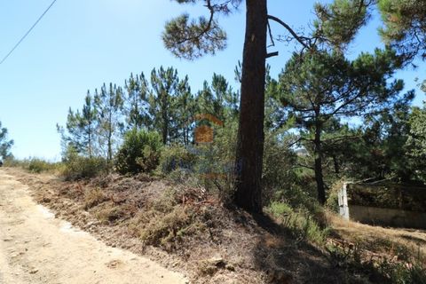 Helårsgrund i Matacaes, Lisbon, Matacaes - € 28.000 | Ref: MTL3112 - foto 3