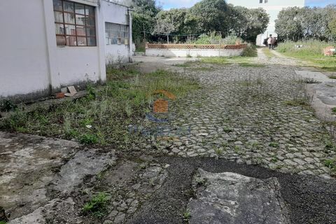 Villa i Montijo, Setubal, Montijo - € 1.300.000 | Ref: MTJM6002 - foto 7