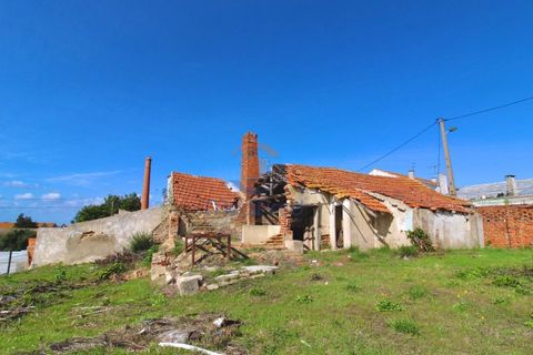 Helårsgrund i Montijo, Setubal, Montijo - € 225.000 | Ref: MTJL3006 - foto 7