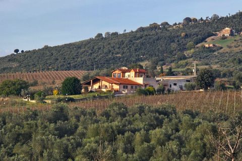 Villa i Montecchio, Terni, Montecchio - € 1.200.000 | Ref: MON030-1-1-1 - foto 2