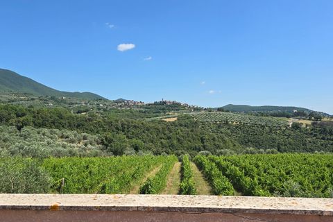 Villa i Montecchio, Terni, Montecchio - € 1.200.000 | Ref: MON030-1-1-1 - foto 10