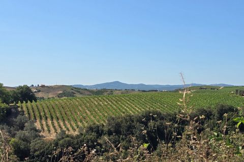 Villa i Montecchio, Terni, Montecchio - € 1.200.000 | Ref: MON030-1-1-1 - foto 36