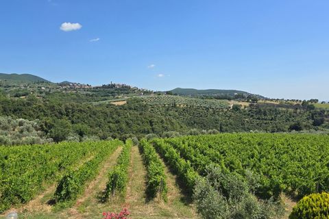 Villa i Montecchio, Terni, Montecchio - € 1.200.000 | Ref: MON030-1-1-1 - foto 37